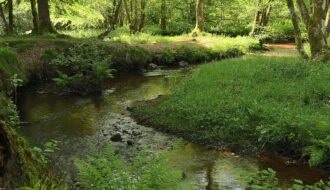 Découvrir la Bourgogne par le Morvan