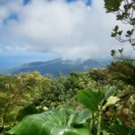 Guadeloupe : que visiter sur l'île ?
