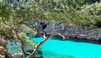 Les calanques marseillaises : les fjords de la Méditerranée