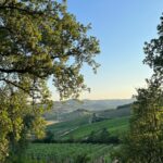 La Toscane : culture, découverte et gastronomie