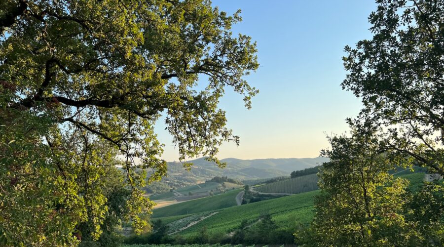 La Toscane : culture, découverte et gastronomie