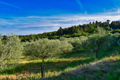 Le parc naturel régional du Luberon