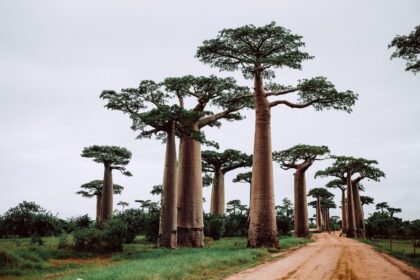 4 endroits paradisiaques à visiter lors d'un séjour à Madagascar