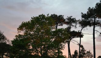 Le Parc Naturel Régional des Landes de Gascogne