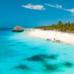 Découverte de Zanzibar : un voyage inoubliable
