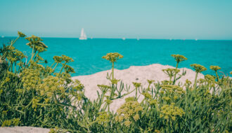 Vacances en camping sur l&rsquo;île de Ré : découvrez le confort d&rsquo;un mobil home en bord de mer !