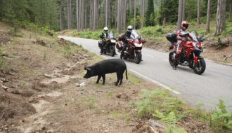 Découvrir la Corse en moto
