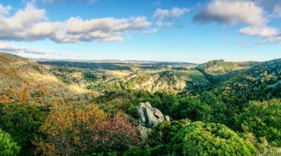Découvrez toutes les merveilles de l'Ardèche : sites naturels, villages de caractère, activités sportives et trésors cachés. Le guide complet pour un séjour inoubliable.