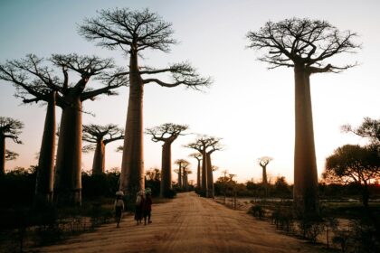 Madagascar, entre nature sacrée et traditions vivantes