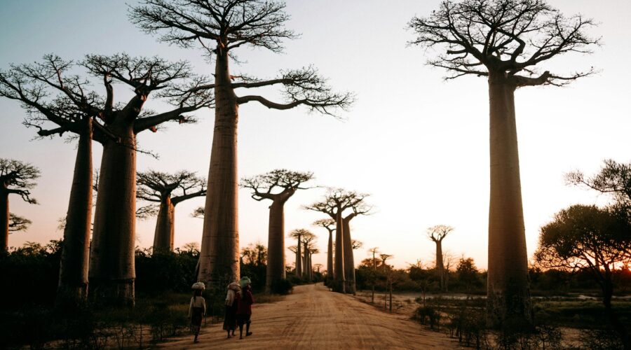 Madagascar, entre nature sacrée et traditions vivantes