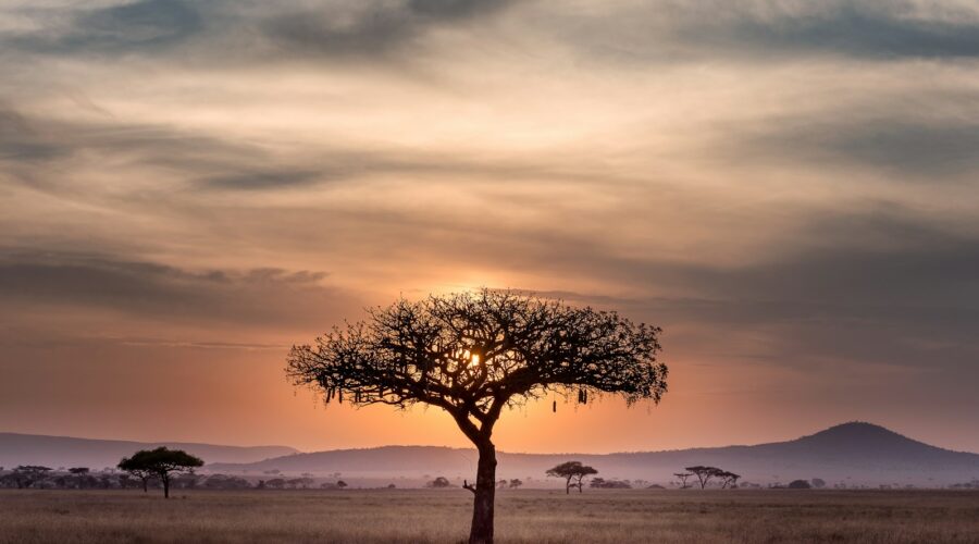 Partez à la découverte d’une Tanzanie authentique, loin du tourisme de masse : peuples oubliés, parcs secrets, villages isolés et paysages à couper le souffle.