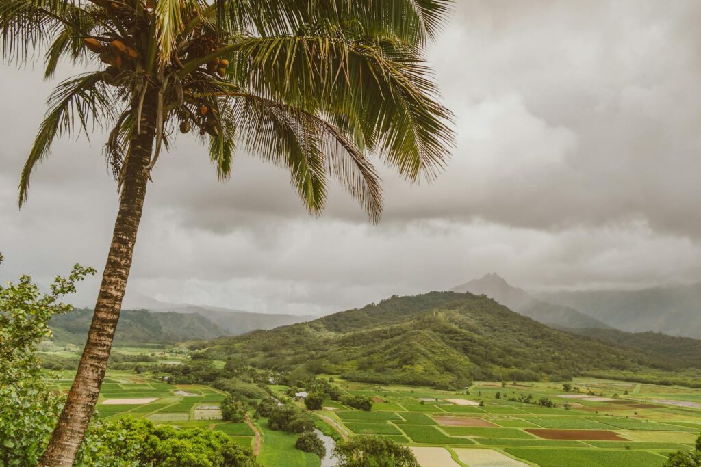 L'archipel est vaste et varié