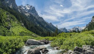 Le Wyoming : terre sauvage et âme de l'ouest américain