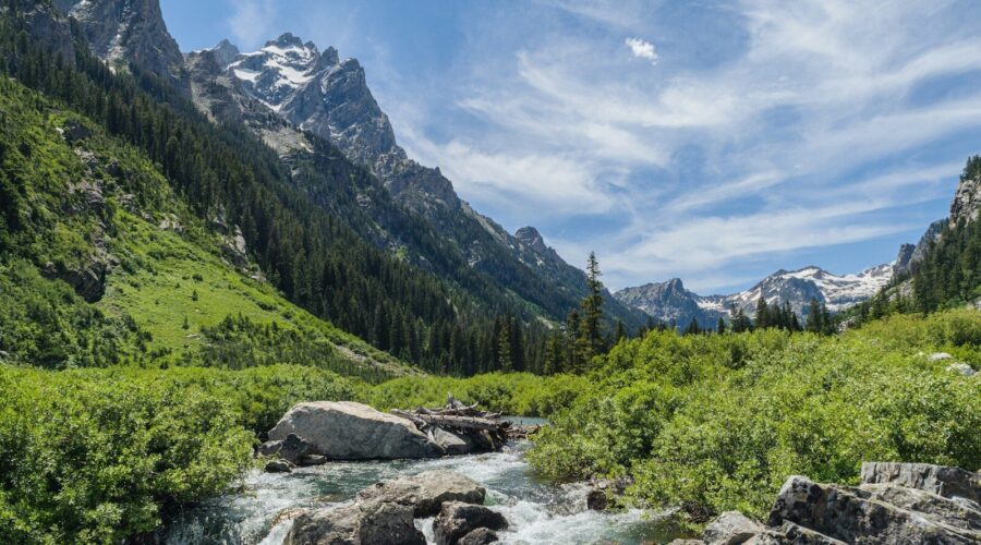 Le Wyoming : terre sauvage et âme de l'ouest américain