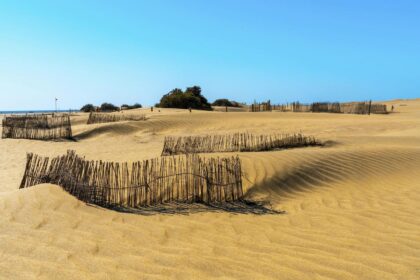 Quand partir en Mauritanie ? Découvrez la saison idéale pour le désert et le trek. Climat, températures et conseils pour un voyage réussi.