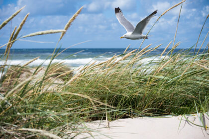 Littoral de Loire-Atlantique : une escapade entre authenticité, prestige et nature sauvage