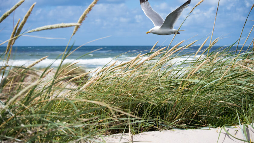 Littoral de Loire-Atlantique : une escapade entre authenticité, prestige et nature sauvage