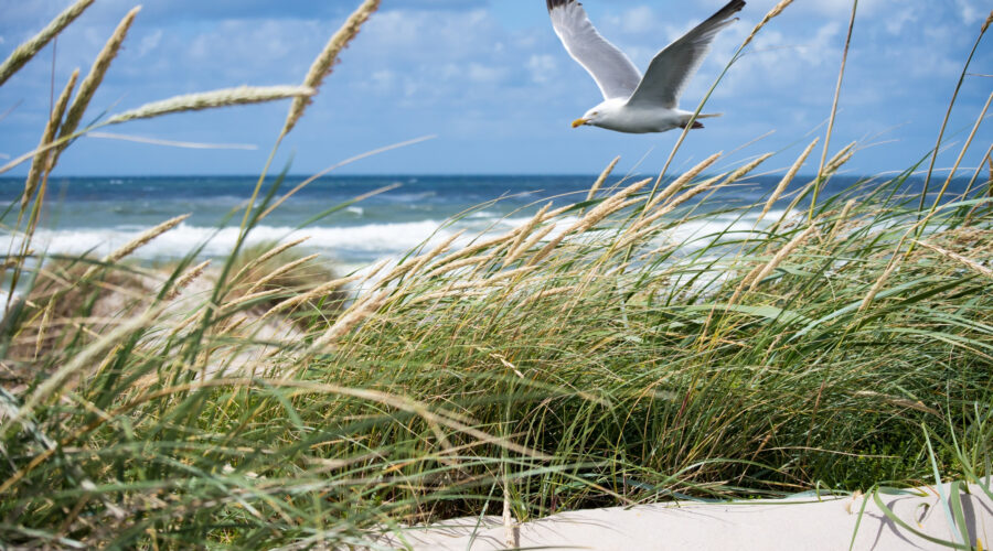 Littoral de Loire-Atlantique : une escapade entre authenticité, prestige et nature sauvage
