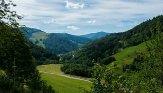 Découvrez la Forêt-Noire : randonnées, patrimoine et bien-être. Un guide complet avec conseils experts pour un séjour inoubliable au cœur de l'Allemagne.