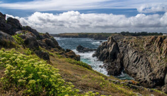 L'Île d'Yeu : joyau sauvage et authentique de l'Atlantique