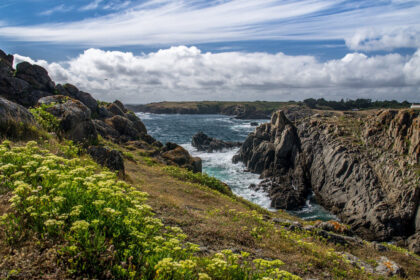 L'Île d'Yeu : joyau sauvage et authentique de l'Atlantique