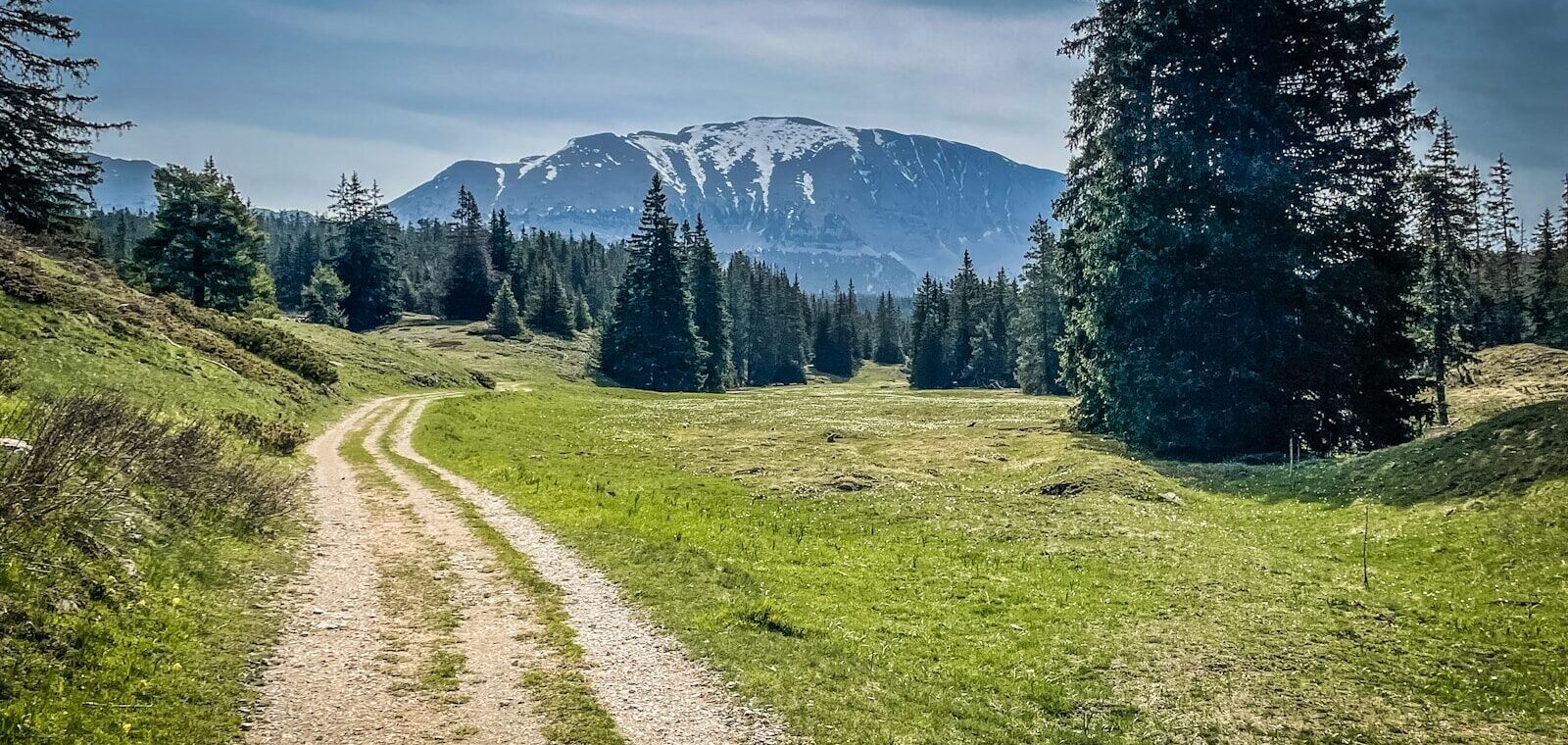 Randonnée sur un chemin de terre des Hauts Plateaux du Vercors avec vue sur les montagnes dans un paysage de prairies vertes et de forêts de sapins.