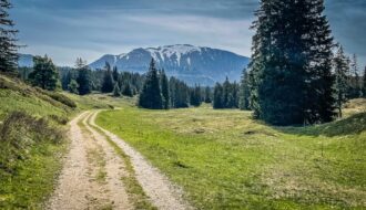 Randonnée sur un chemin de terre des Hauts Plateaux du Vercors avec vue sur les montagnes dans un paysage de prairies vertes et de forêts de sapins.