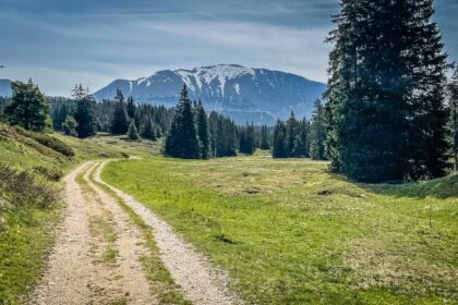 Randonnée sur un chemin de terre des Hauts Plateaux du Vercors avec vue sur les montagnes dans un paysage de prairies vertes et de forêts de sapins.