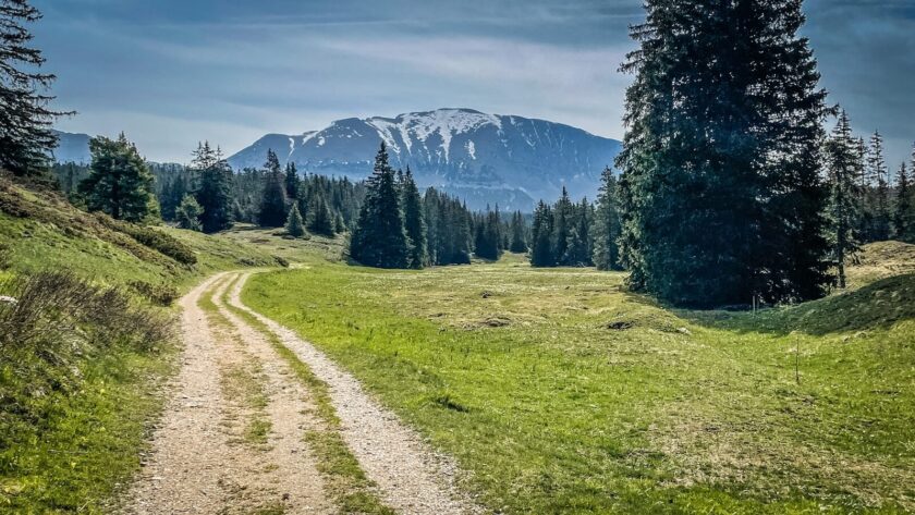 Randonnée sur un chemin de terre des Hauts Plateaux du Vercors avec vue sur les montagnes dans un paysage de prairies vertes et de forêts de sapins.