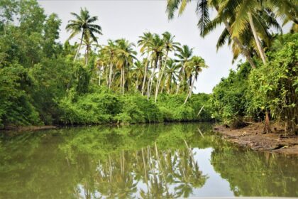 La Guyane, enclave française au sein de l'Amazonie