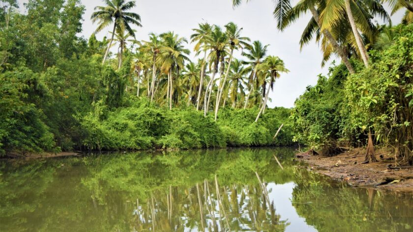 La Guyane, enclave française au sein de l'Amazonie