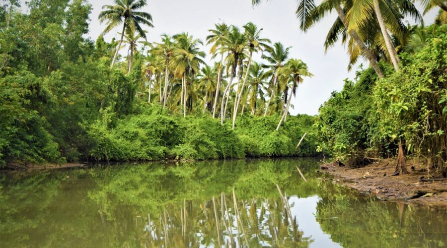 La Guyane, enclave française au sein de l'Amazonie