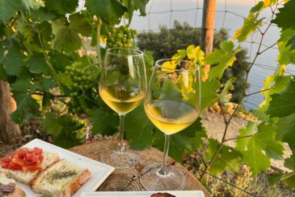 Le vin blanc de Tenerife : trésor volcanique et tradition viticole des Canaries