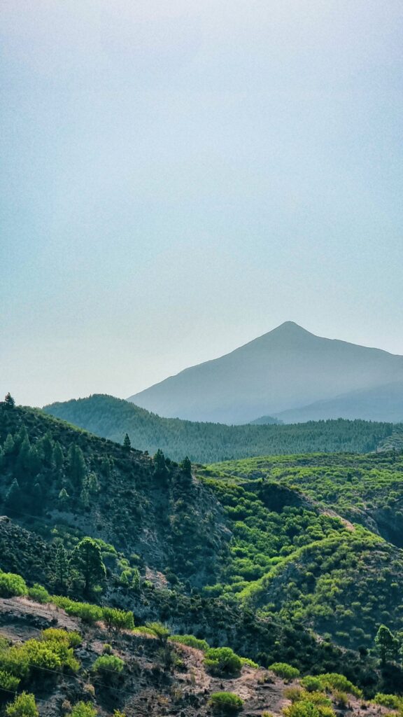 Tenerife, terre de contraste