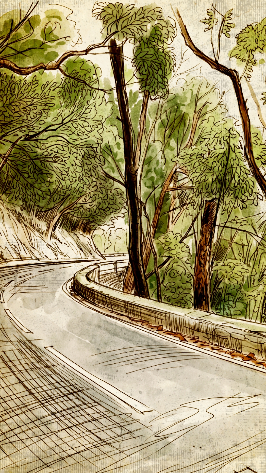 Illustration réalisée par Thierry de la TF-12 à Tenerife, qui serpentent à l'ombre des arbres