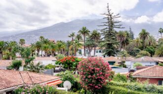 ue sur les toits d'Icod de los Vinos à Tenerife, avec végétation de palmiers et montagne en arrière-plan