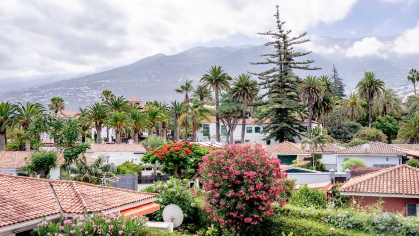 ue sur les toits d'Icod de los Vinos à Tenerife, avec végétation de palmiers et montagne en arrière-plan