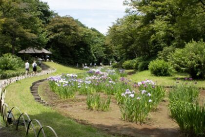 5 lieux incontournables à Tokyo
