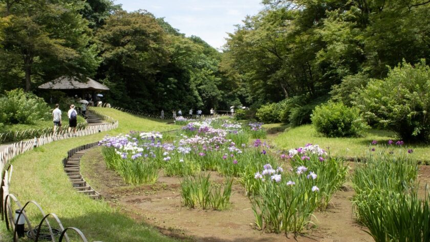5 lieux incontournables à Tokyo