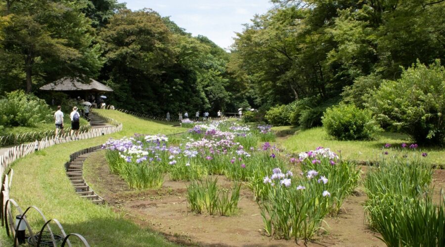 5 lieux incontournables à Tokyo