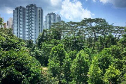 5 manières de faire le plein de nature à Singapour