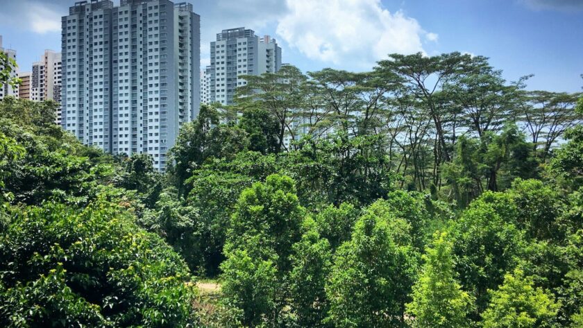 5 manières de faire le plein de nature à Singapour