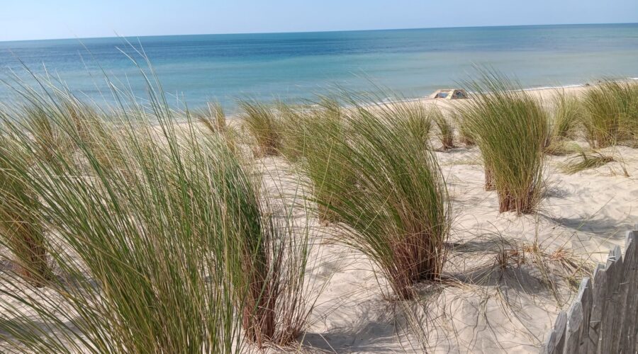 Ballade dans le Médoc Atlantique
