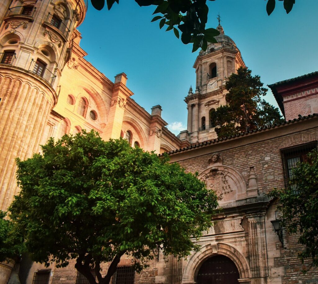 Façade en pierre et clocher de la cathédrale de l'Incarnation de Malaga cadrés derrière des orangers.