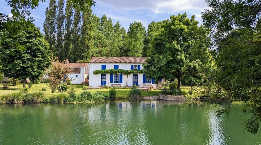 5 idées pour découvrir le Marais Poitevin